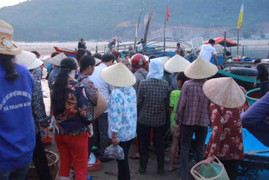 Chen chúc mua cá biển từ tinh mơ ở Hà Tĩnh