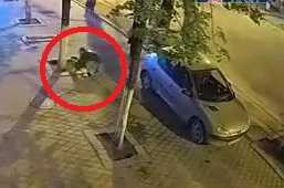 Clip: Đi xe hơi để trộm gạch lát đường