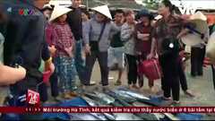 Hà Tĩnh triển khai thu mua hải sản an toàn cho ngư dân