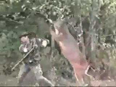 Clip: Hươu hăng máu tung liên hoàn cước đánh lại thợ săn