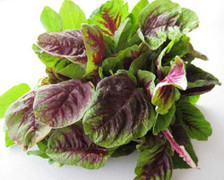 Ăn rau dền giải nhiệt mùa hè nhất định phải nhớ những điều này