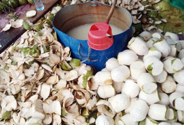 5 thực phẩm bẩn nhất trong mùa hè không ngờ tới