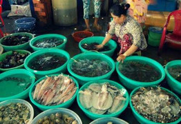 Hà Tĩnh: Hàm lượng kim loại nặng trong hải sản ở ngưỡng cho phép