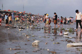 Ai có tự trọng sẽ rất xấu hổ khi xem những hình ảnh này