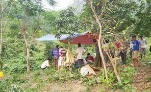 Đôi vợ chồng mới cưới chết không rõ nguyên nhân