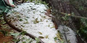 Mưa đá ồ ạt trút xuống Đắk Lắk, nông dân trắng tay