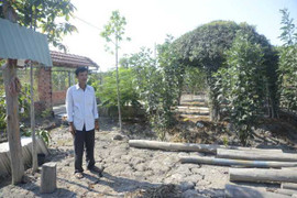 Đình chỉ điều tra vụ dựng chòi nuôi vịt của chủ đất quán Xin Chào