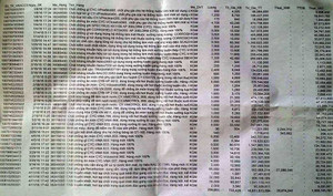 384 tấn hoá chất Formosa nhập gồm những loại độc hại nào?