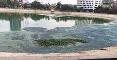 Dân Thủ đô nín thở, bịt mũi sống giữa đất 'vàng'