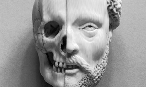 Có thể đưa người từ cõi chết trở về?