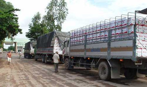 Điểm danh loạt cán bộ hải quan bị 'kiều nữ' tung tiền 'khủng' mua chuộc