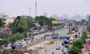 Hà Nội yêu cầu 'bứng' toàn bộ cây xanh ở dự án tàu điện đi trồng nơi khác