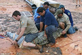 5 người đàn ông vật lộn với cá sấu khổng lồ ở Australia