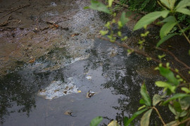 Ảnh: Bên trong nhà máy xả thải khiến cá chết hàng loạt ở Thanh Hóa có gì?