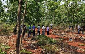 Sát hại bạn dã man, kéo nạn nhân vào rừng cao su phi tang, cướp tài sản