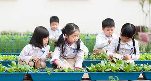 Trường thực nghiệm thứ 3 ở Hà Nội cấp học bổng 77 triệu đồng