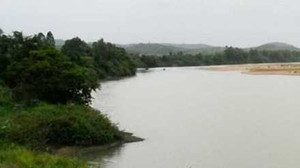 Thảm cảnh 3 người chết vì... uống rượu say lấy 'can đảm' cưa bom