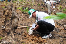 Honda thực hiện ngày hội trồng rừng ở Bắc Kạn