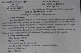 Đề thi môn văn khó hiểu, tỉnh ủy Gia Lai vào cuộc