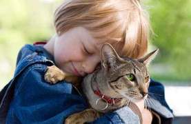 Cẩn thận để không chết vì... mèo