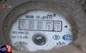 Những con lợn bị 'bỏ rơi' và chiếc hóa đơn tiền nước 19 triệu đồng