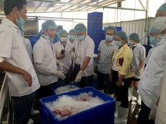 Đánh giá cao mô hình hợp tác công - tư trong phát triển thủy sản của Metro