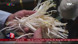 Clip: Bắt quả tang cơ sở làm trắng giá đỗ ‘siêu tốc’ bằng hóa chất