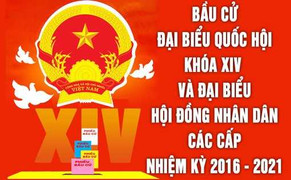 Tạo điều kiện để toàn giải bóng đá chuyên nghiệp tham gia bầu cử