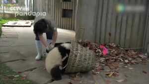 Những video hot nhất trên Facebook ngày 19/5