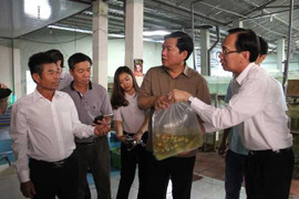 Doanh nghiệp cá 'kêu cứu', Bí thư Thăng điện khẩn cho Bộ trưởng Phát