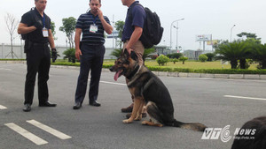 Chó nghiệp vụ Mỹ được điều đến Nội Bài trước giờ chuyên cơ chở ông Obama hạ cánh
