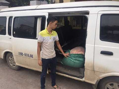 CSGT Hà Nội chặn đứng vụ vận chuyển nội tạng thối suýt vào bụng thực khách