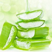 Nha Đam - thần dược diệu kỳ cho làn da