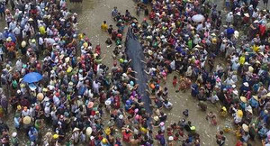 Flycam: Dẫn đường đưa cá voi khổng lồ mắc cạn ở Nghệ An về với biển