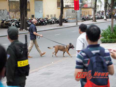 Chó 'đặc nhiệm' Mỹ canh chừng cẩn mật cho ông Obama ở TP.HCM