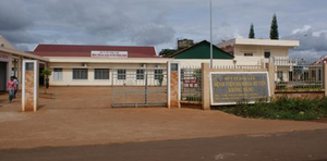 Bệnh viện tắc trách, song thai của sản phụ tử vong?