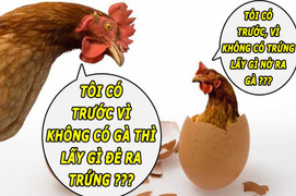 Đã có lời giải cho bài toán 'gà hay trứng gà có trước'