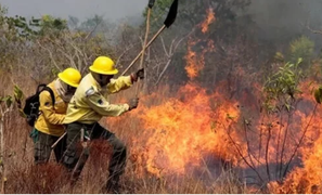 Brazil điều 44.000 binh sĩ dập cháy rừng kỷ lục ở Amazon