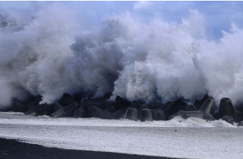 Bão Faxai đánh trực diện vào Tokyo, gió mạnh thổi lật cả ôtô
