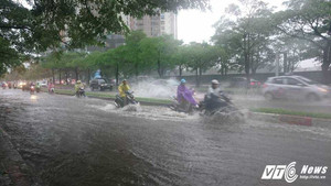 Ảnh: Phố Hà Nội biến thành sông, cây xanh đổ ngổn ngang trong bão số 3