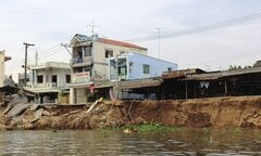 Huyền thoại về nghiệt súc 'Năm Chèo' con cá sấu 5 chân ẩn mình dưới sông Vàm Nao