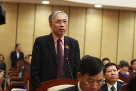 Chất vấn sai phạm Mường Thanh: 'Phải chăng củi ướt nên không cháy được?'