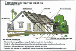 Bão số 16 mạnh kỷ lục sắp đổ bộ: Người dân cần làm gì để không mất nhà?