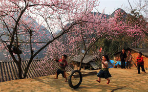 Thời tiết ngày đầu năm mới Mậu Tuất 2018 thế nào?