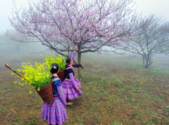 Thời tiết 10 ngày đầu năm mới Mậu Tuất 2018 ra sao?