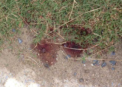 Tài xế xe ôm nằm trên vũng máu sau tiếng kêu thất thanh