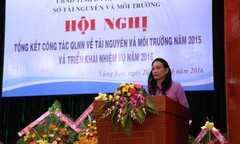 Giám đốc sở xin nghỉ việc 'phản pháo' Bí thư tỉnh ủy