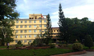 Thêm một câu chuyện bị trao nhầm con ly kỳ