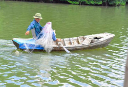 Tuyệt diệt sông Thị Vải, Vedan phải bồi thường thế nào?