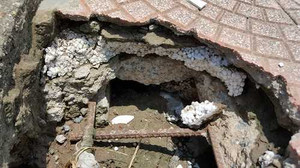 Cây cầu làm bằng xốp và cát giữa Thủ đô: Cienco 5 Land nói gì?